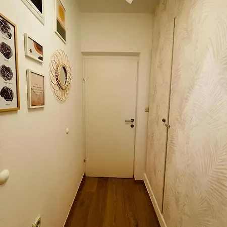 아파트 Oasi
