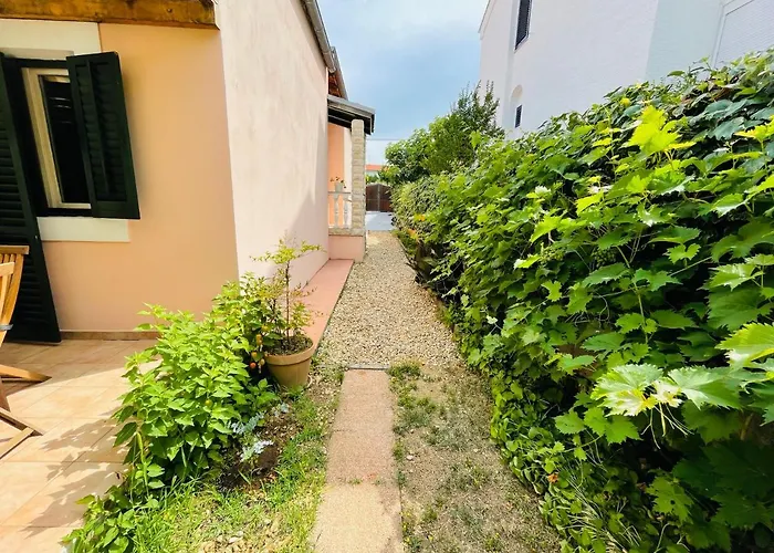 Oasi Apartament