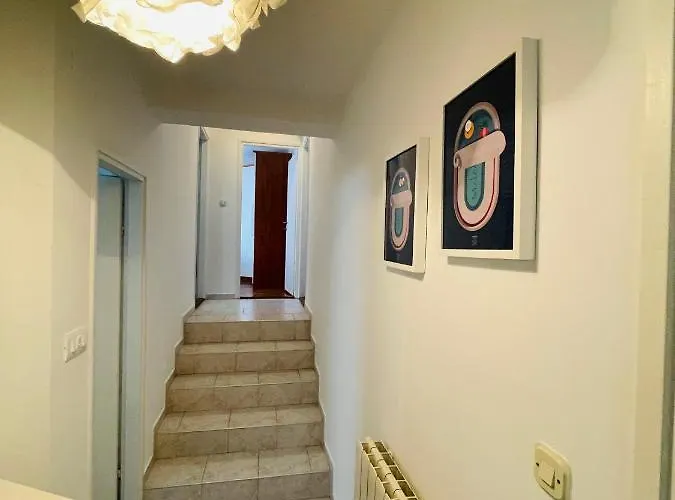 Oasi *